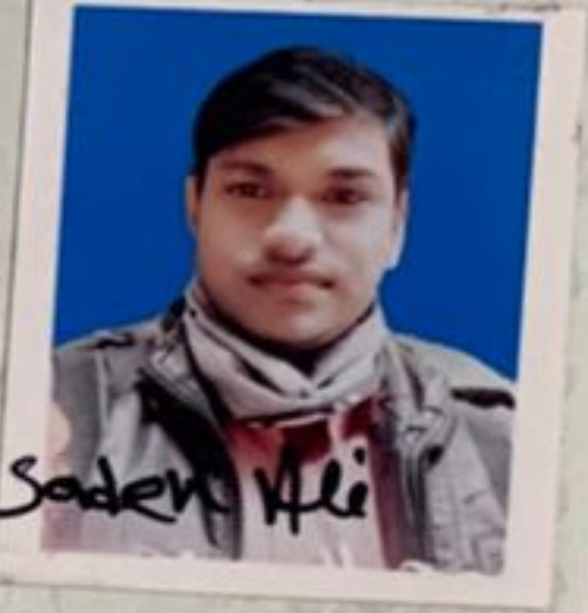 sadek ali
