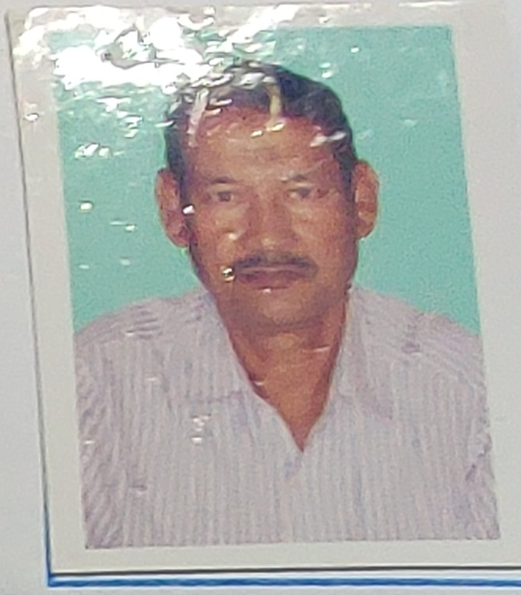 haman ali
